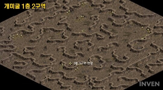 巨蟻洞穴1-2.jpg